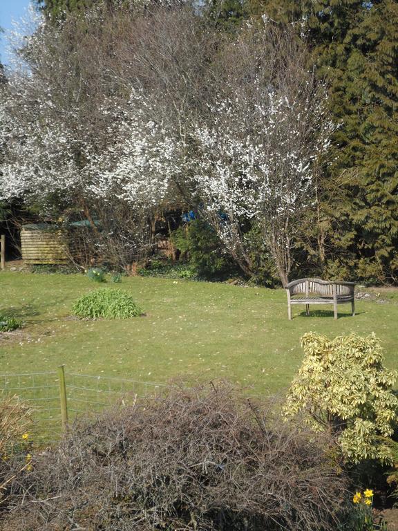 Gages Mill Hotel Ashburton Buitenkant foto